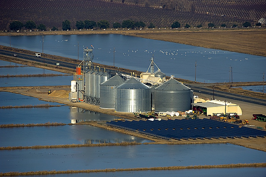 20120103_rice-aerial2b335e